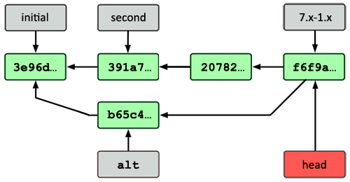 Branch pointers after creating alt branch. branch pointers