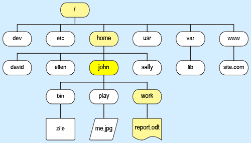 Unix file system structure. file system tree