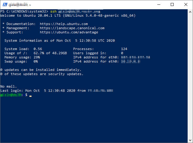Using the PowerShell as a terminal mswin10_te.png