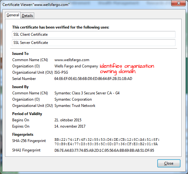 Certificate for a site that has OV. tls_cert_dv.png